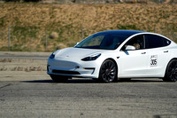 #305 White Tesla 3
