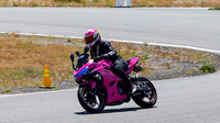 Pink Kawasaki - Pink Icon