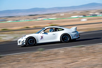 7 White Porsche GT3